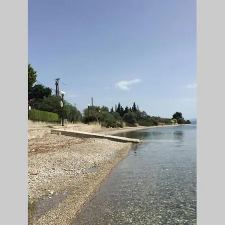 Eny Dimou 2 Khronia